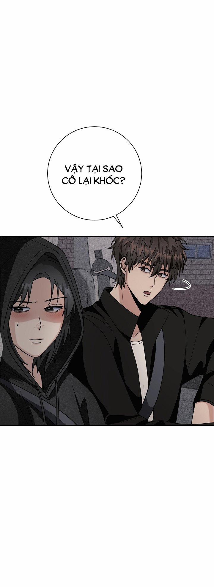 [18+] 11336 18.1 trang 3