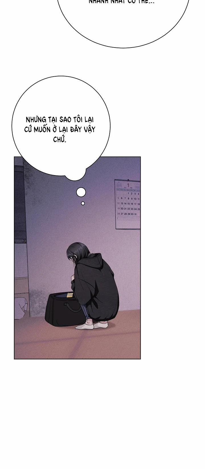 [18+] 11336 19.1 trang 13