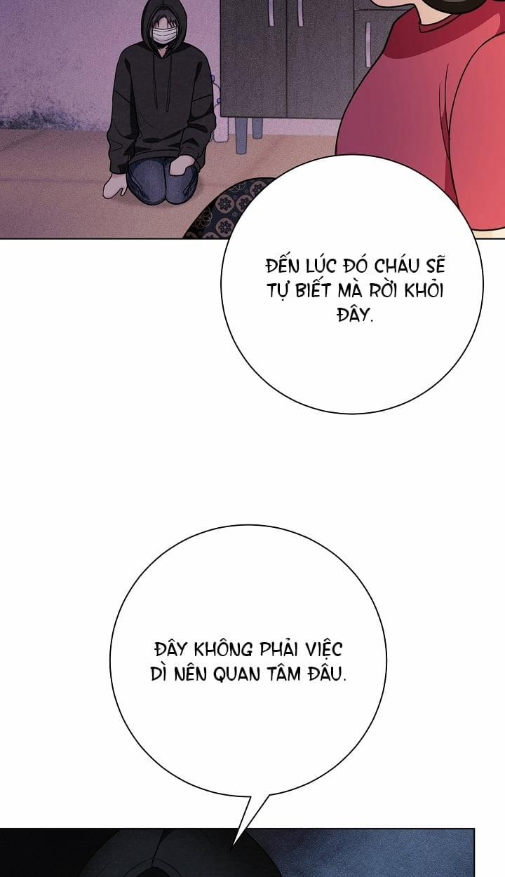 [18+] 11336 19.2 trang 8