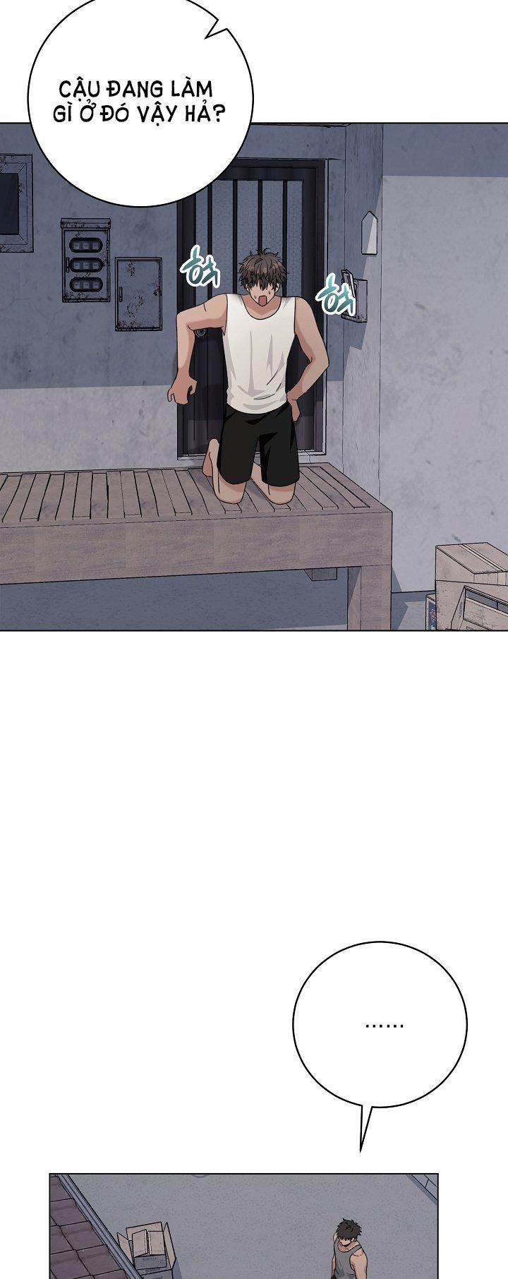 [18+] 11336 7.1 trang 2