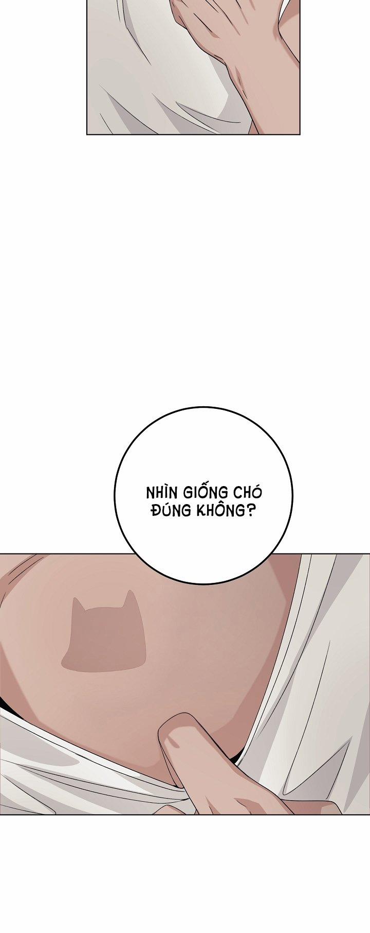 [18+] 11336 7.1 trang 20