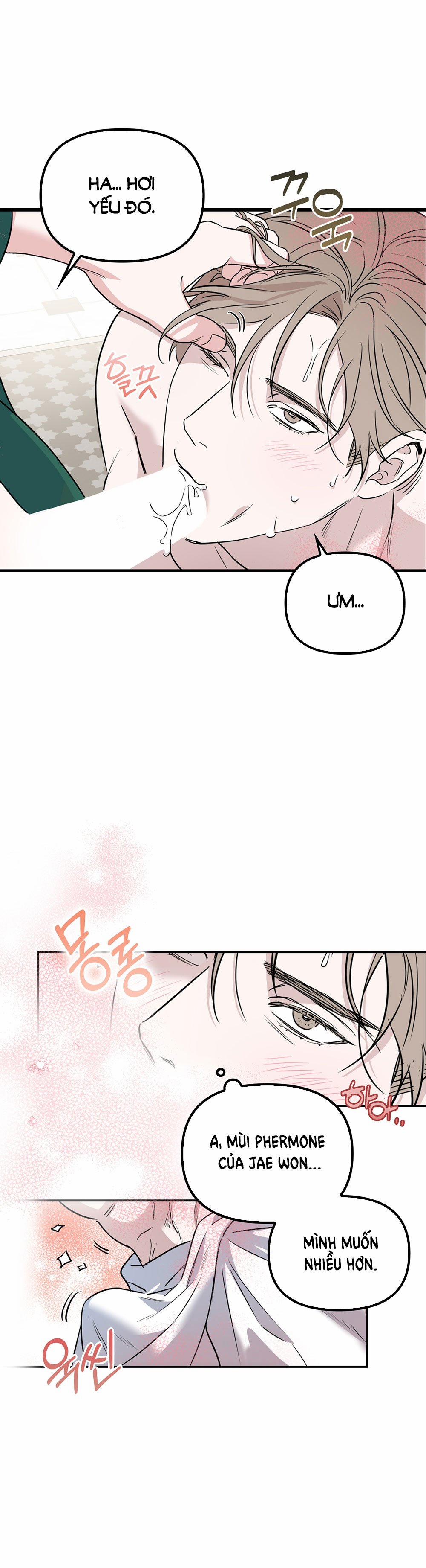 [18+] Alpha Không Thể Hoàn Trả 1.2 trang 22