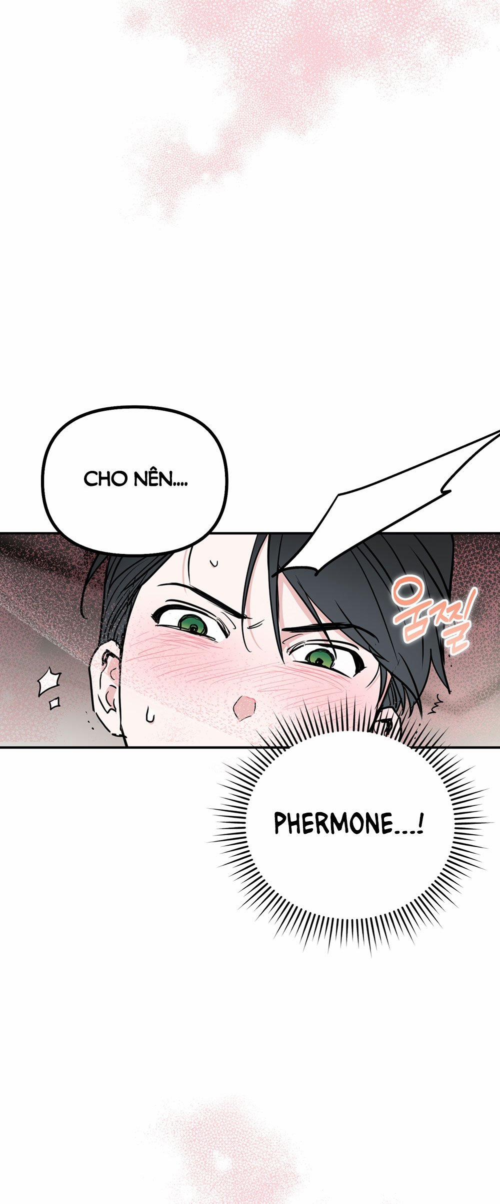 [18+] Alpha Không Thể Hoàn Trả 1.2 trang 27