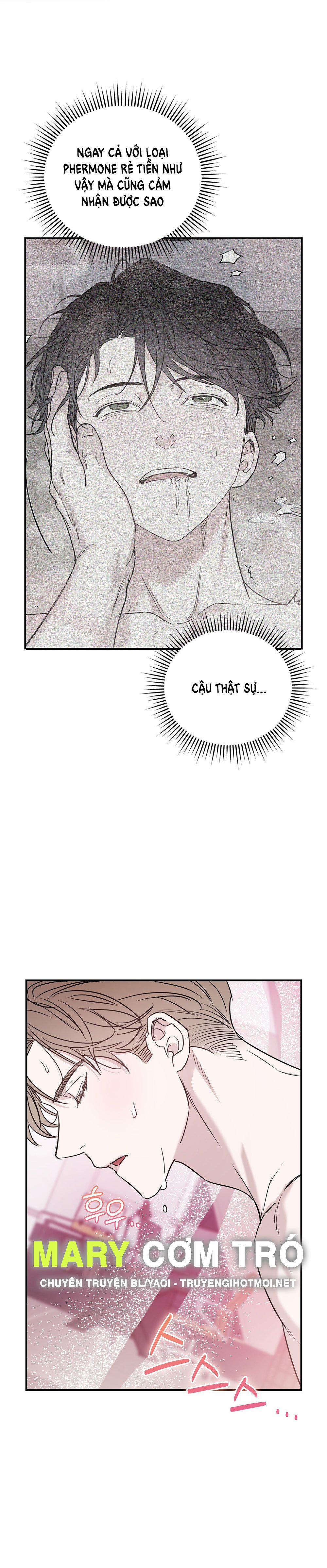 [18+] Alpha Không Thể Hoàn Trả 2.1 trang 16