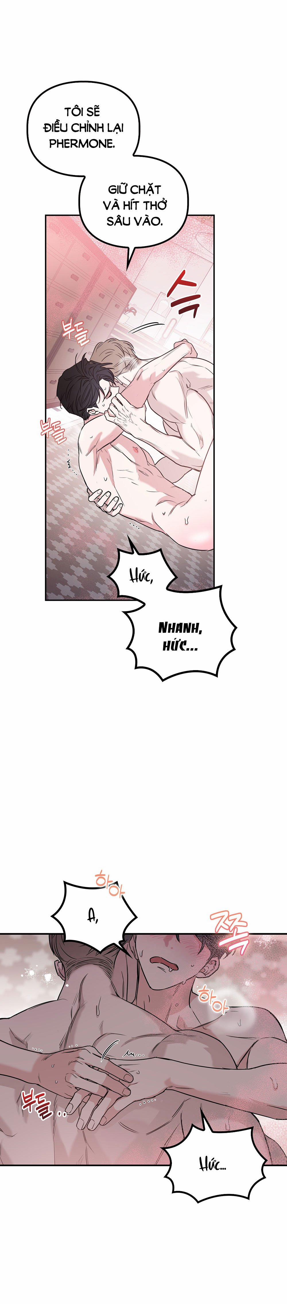 [18+] Alpha Không Thể Hoàn Trả 2.1 trang 17