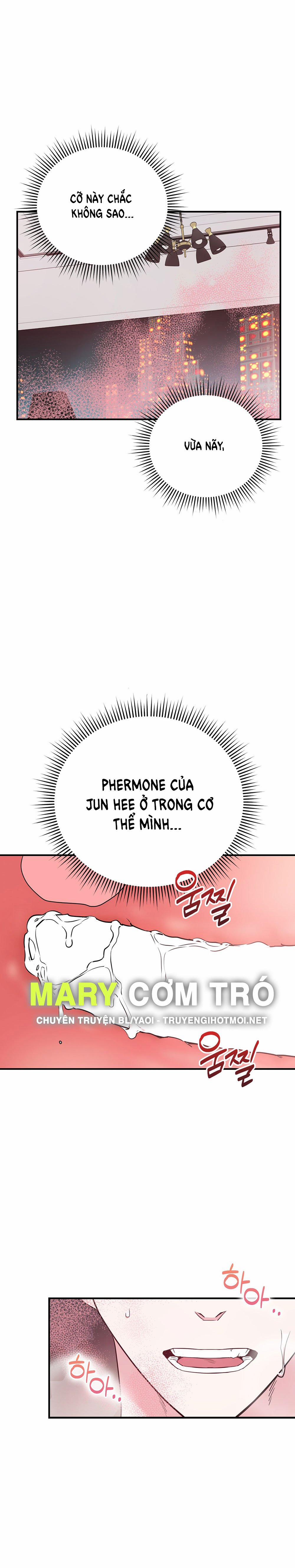 [18+] Alpha Không Thể Hoàn Trả 2.2 trang 0