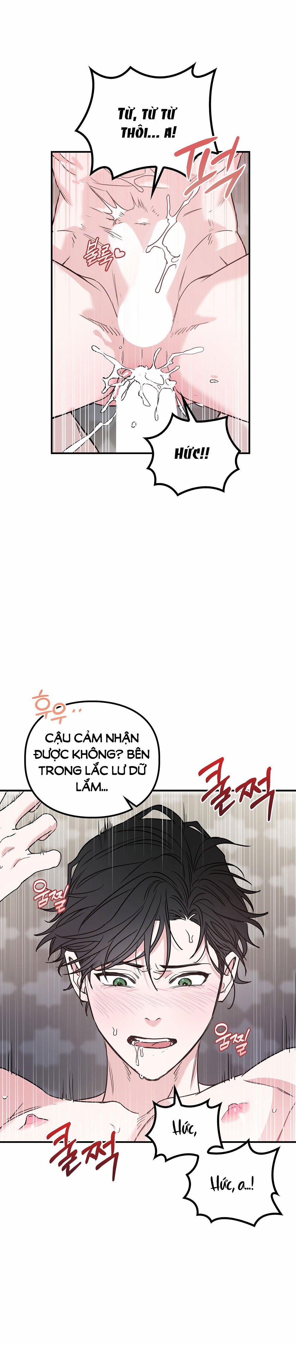 [18+] Alpha Không Thể Hoàn Trả 2.2 trang 8