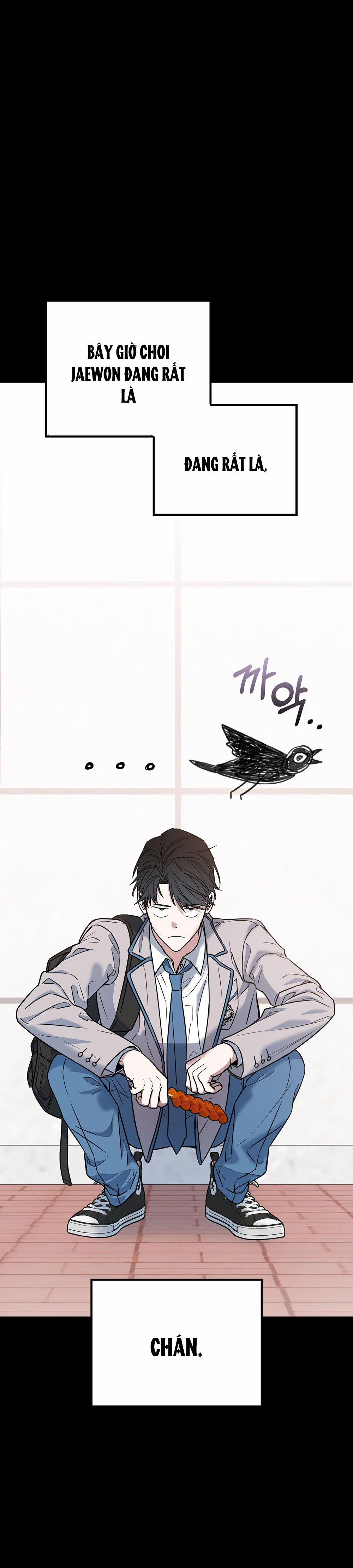 [18+] Alpha Không Thể Hoàn Trả 3.1 trang 11