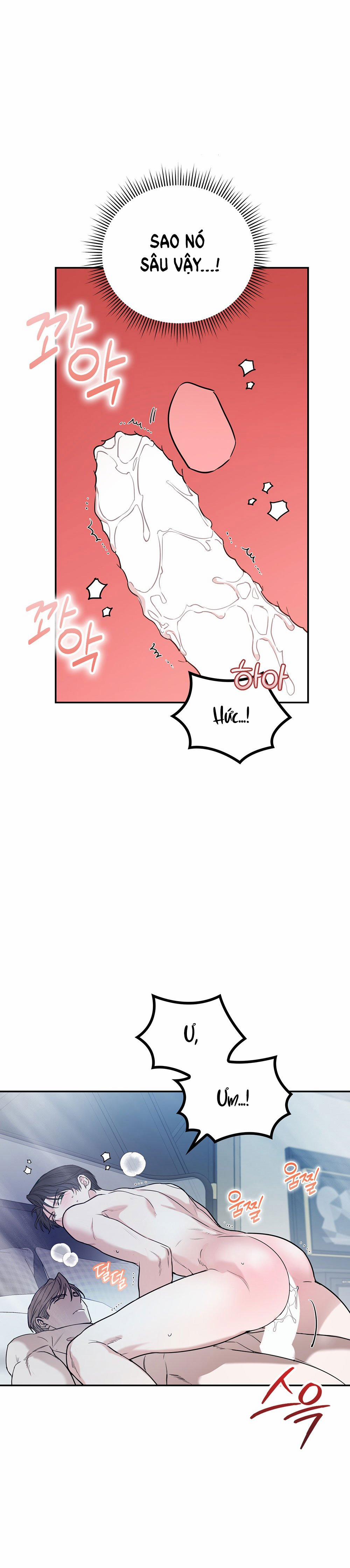 [18+] Alpha Không Thể Hoàn Trả 3.2 trang 5