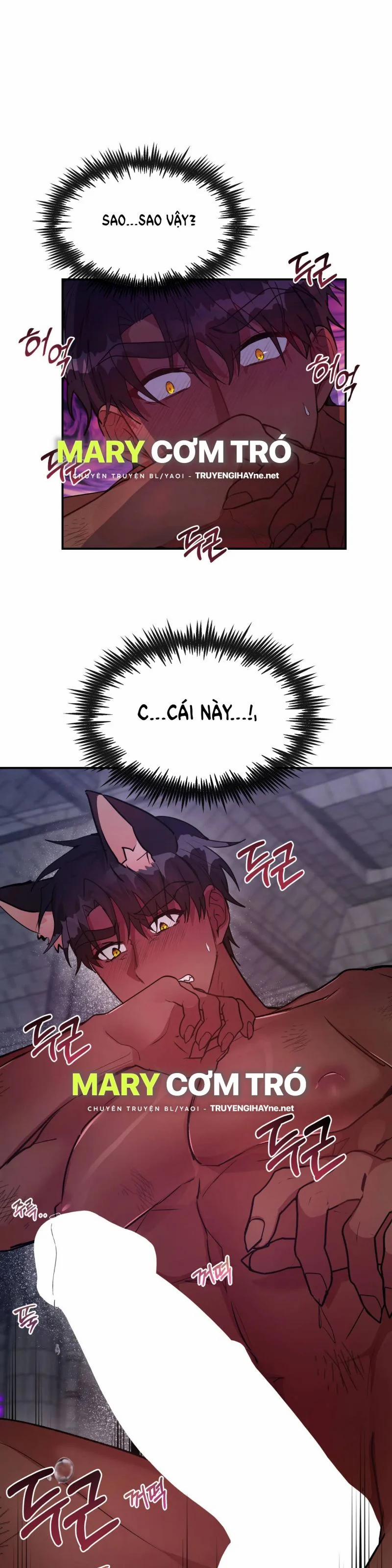 [18+] Bên Trong Lâu Đài ~ Người Lớn Đang Giáo Dục Giới Tính Với Các Chủng Tộc Khác Nhau 8 trang 0