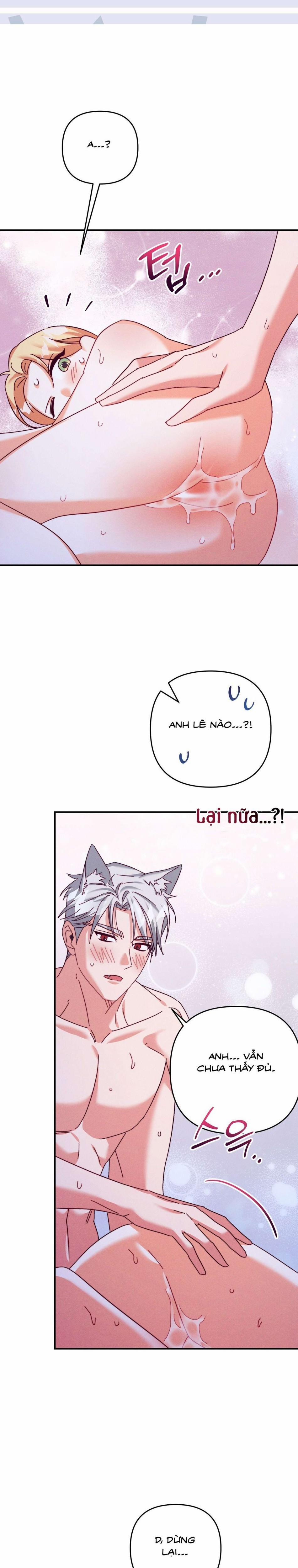 [18+] Bí Mật Của Công Tước Sói 26 trang 16