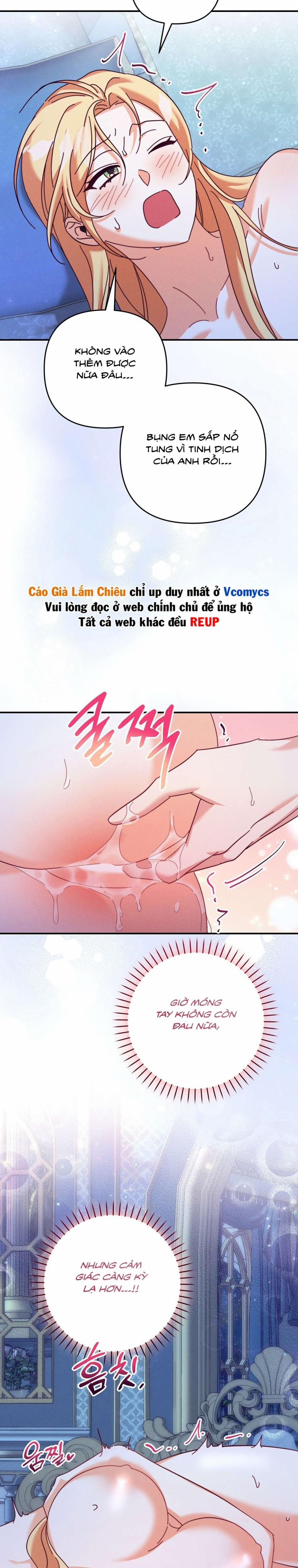 [18+] Bí Mật Của Công Tước Sói 26 trang 17