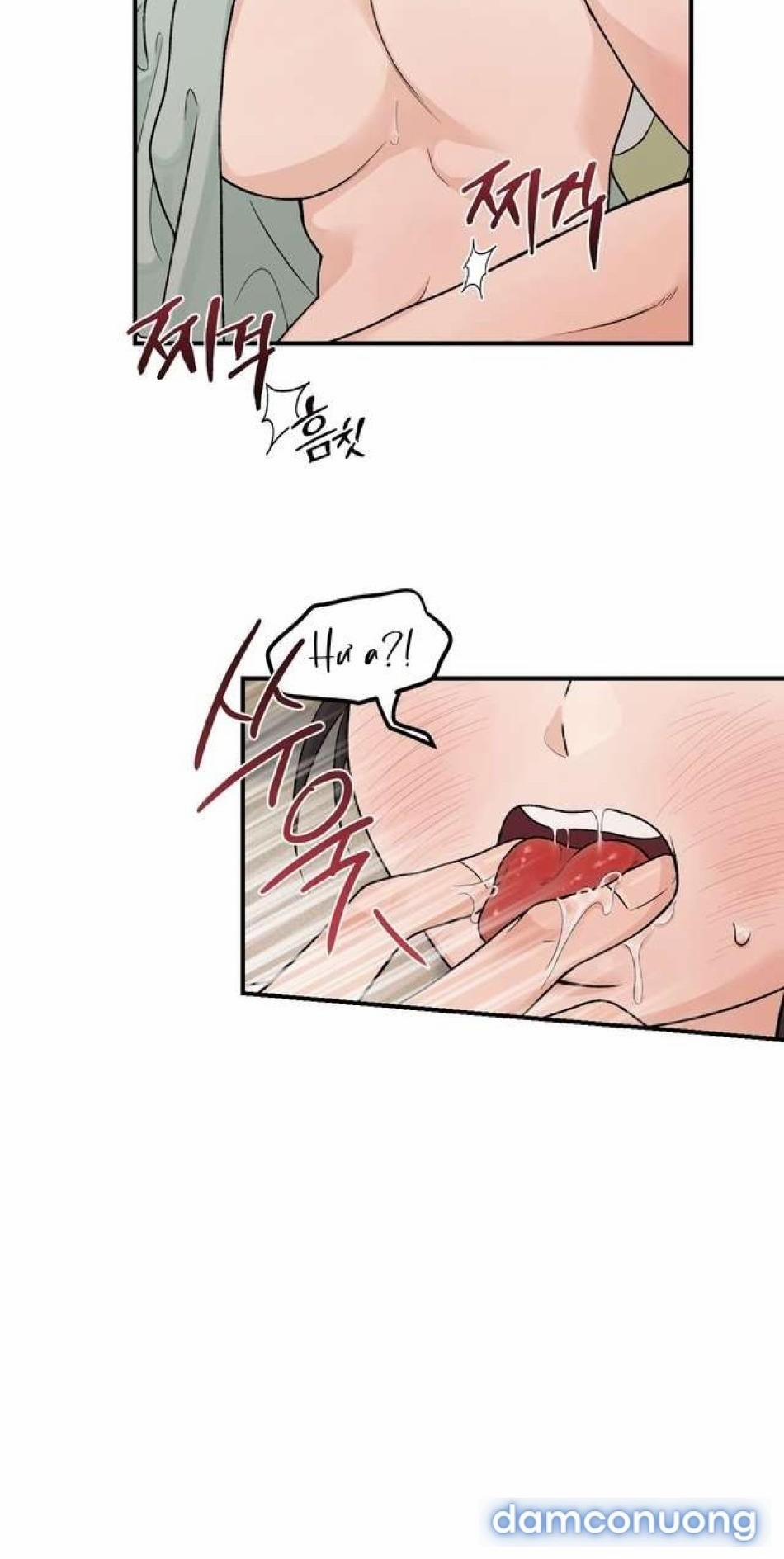 [ 18+ ] Bibisea 32 trang 3