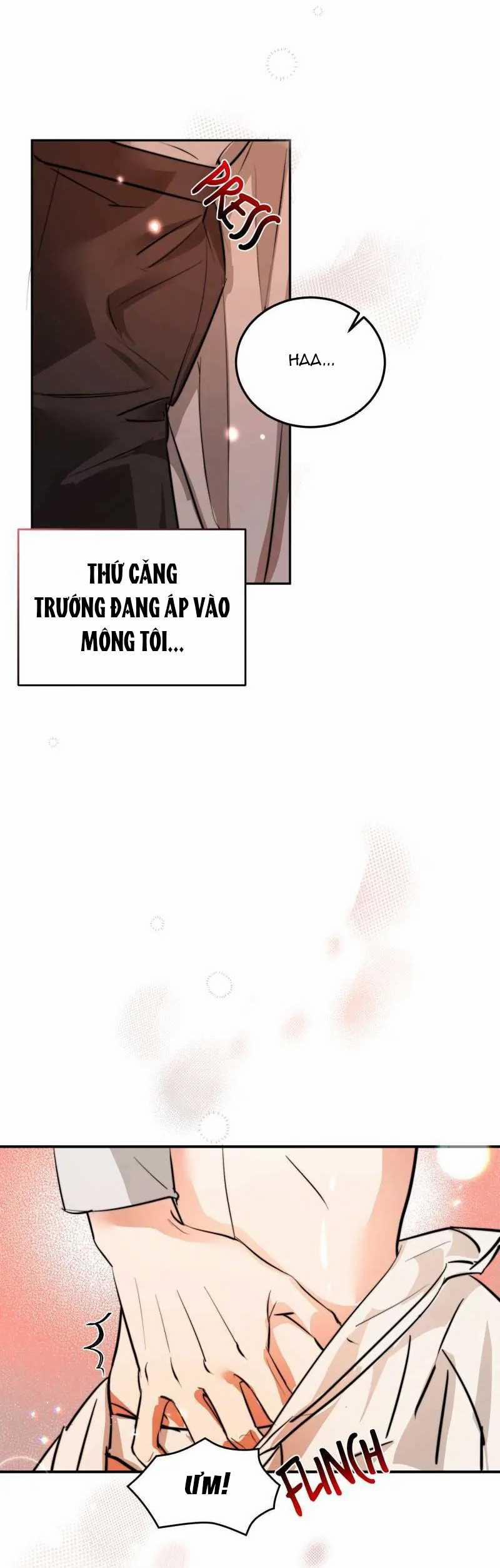 [18+] Chân Dung Vị Hoàng Tử Cuối Cùng 13 trang 10