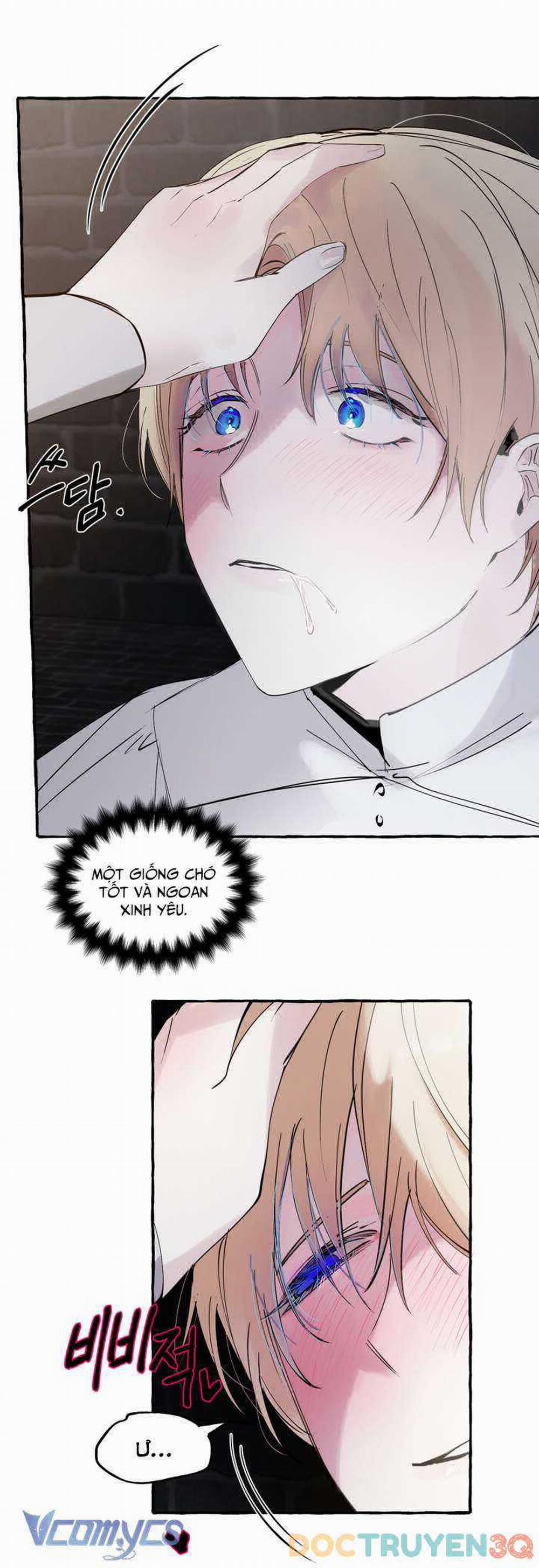 [18+] Chó Sống Trong Khu Vườn Của Hoàng Cung 19 trang 15