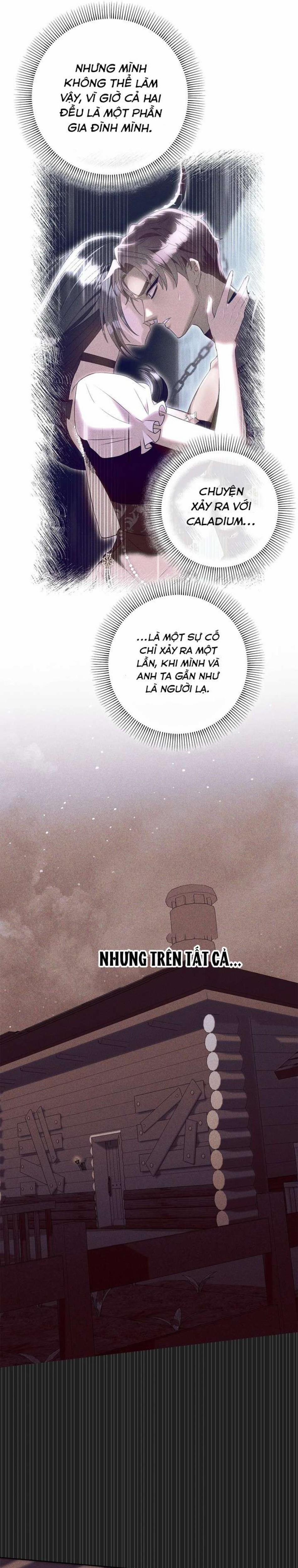 [18+] Chủ Nhân Hầm Ngục Hạng S 17 trang 15