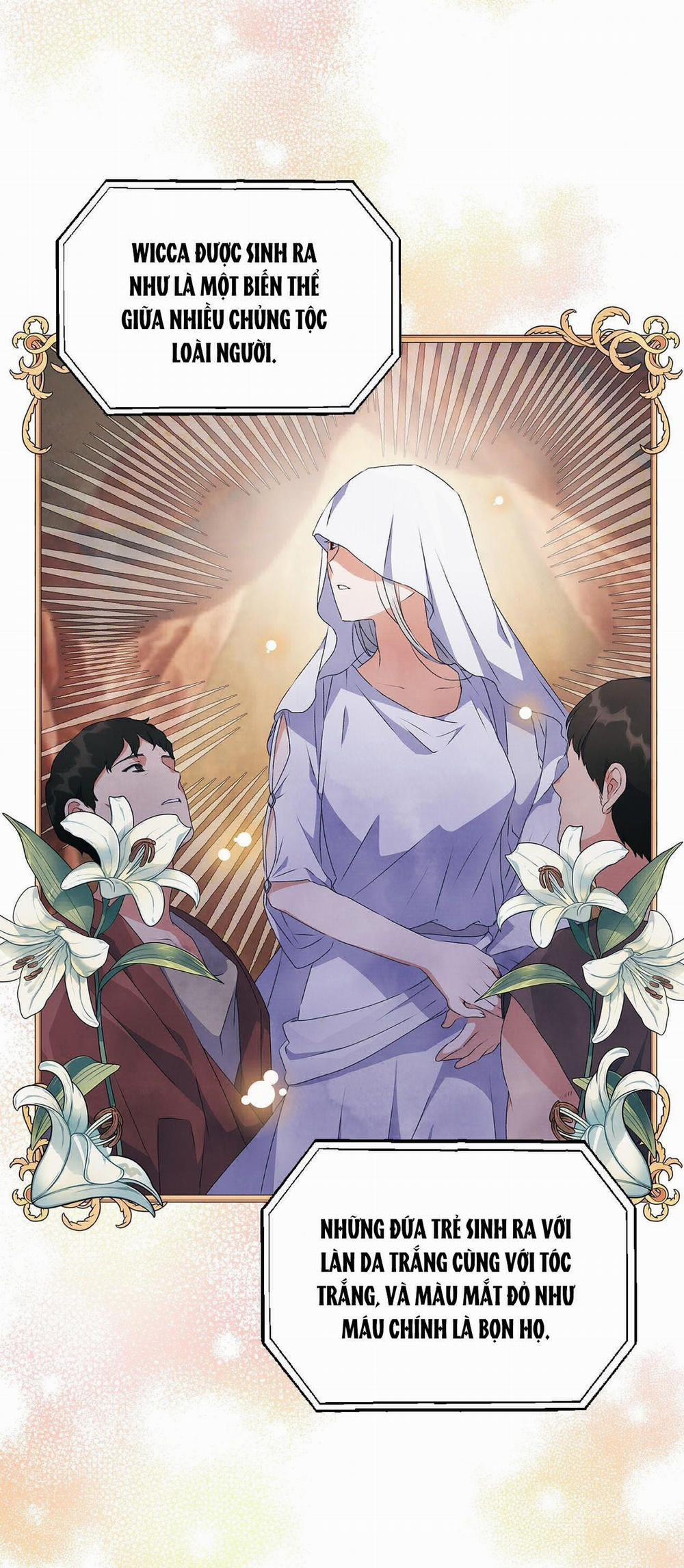 [18+] Chuyện Của Những Pháp Sư Ấy 6.1 trang 5