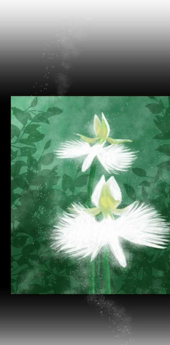 [18+] Chuyến Đi Đêm Cùng Nhà Vua 14.2 trang 31