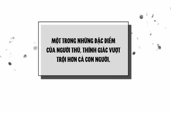 [18+] Chuyện Mèo Trắng Bị Ba Tước Báo Đen Ăn Thịt 6.1 trang 31