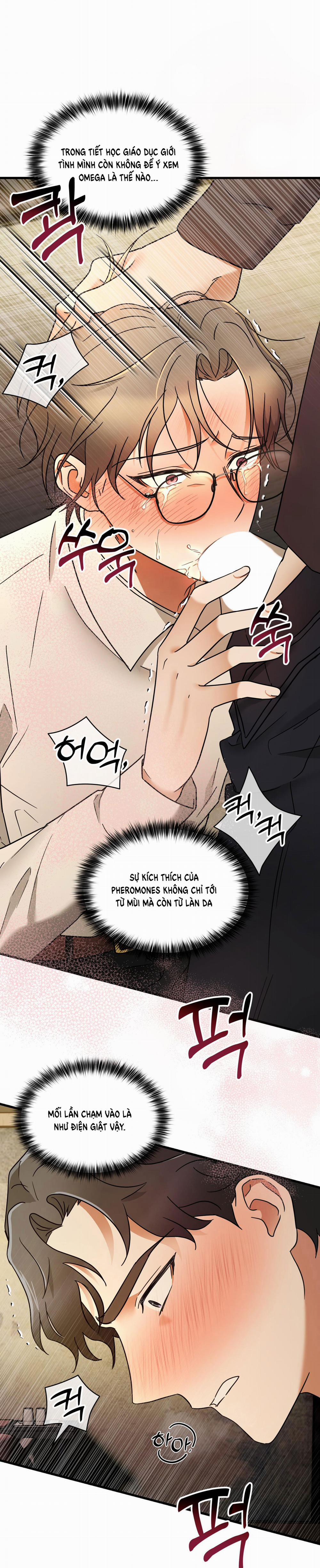 [18+] Chuyện Riêng Của Alpha Đó 2.1 trang 22