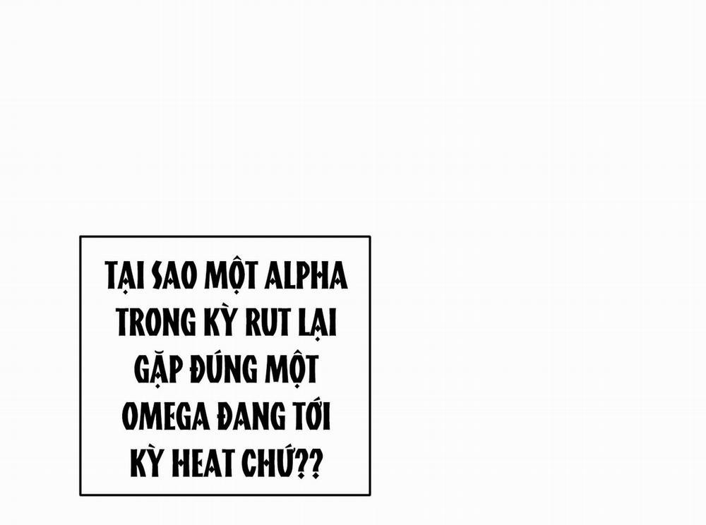 [18+] Chuyện Riêng Của Alpha Đó 3.1 trang 11