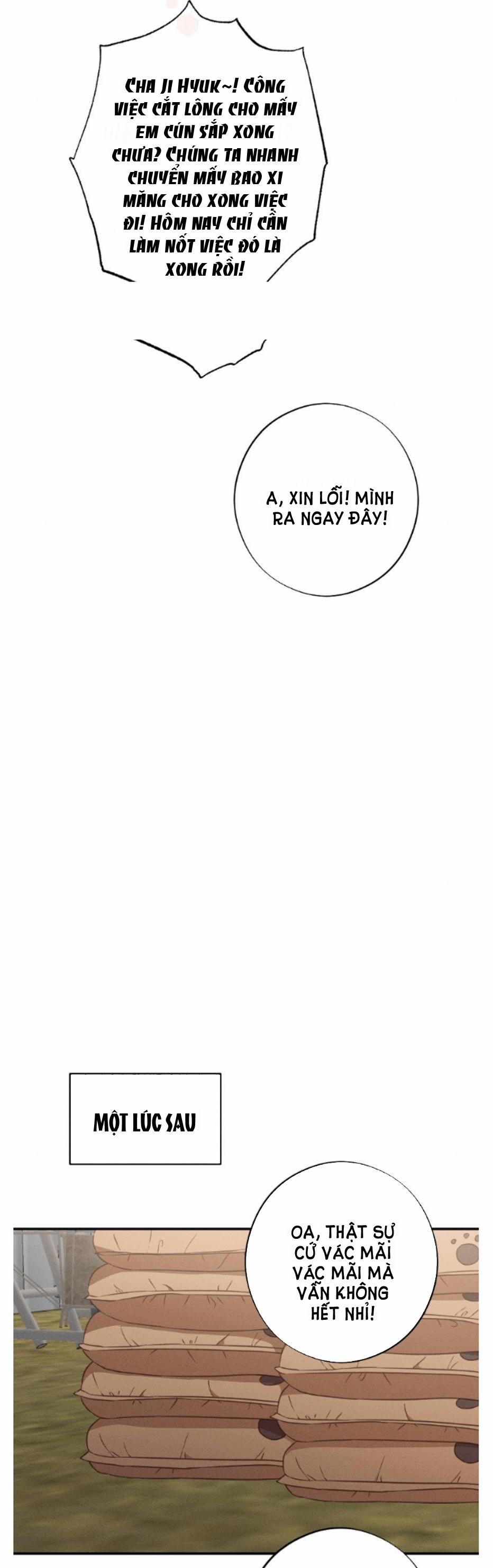 [18+] Còn Nhiều Hơn Cả Những Mối Quan Hệ Đã Từng 38.2 trang 16