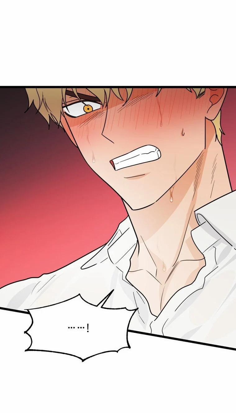 [18+] Con Số 9 Kì Lạ 31.5 trang 1