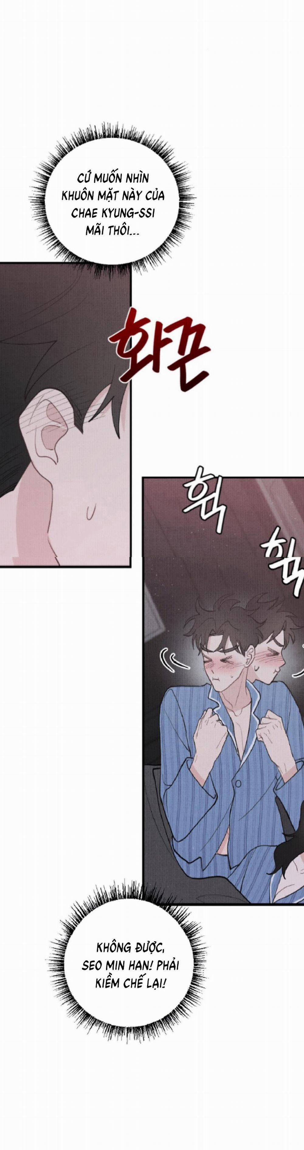 [18+] Cuộc Hôn Nhân Chính Trị 18.2 trang 0