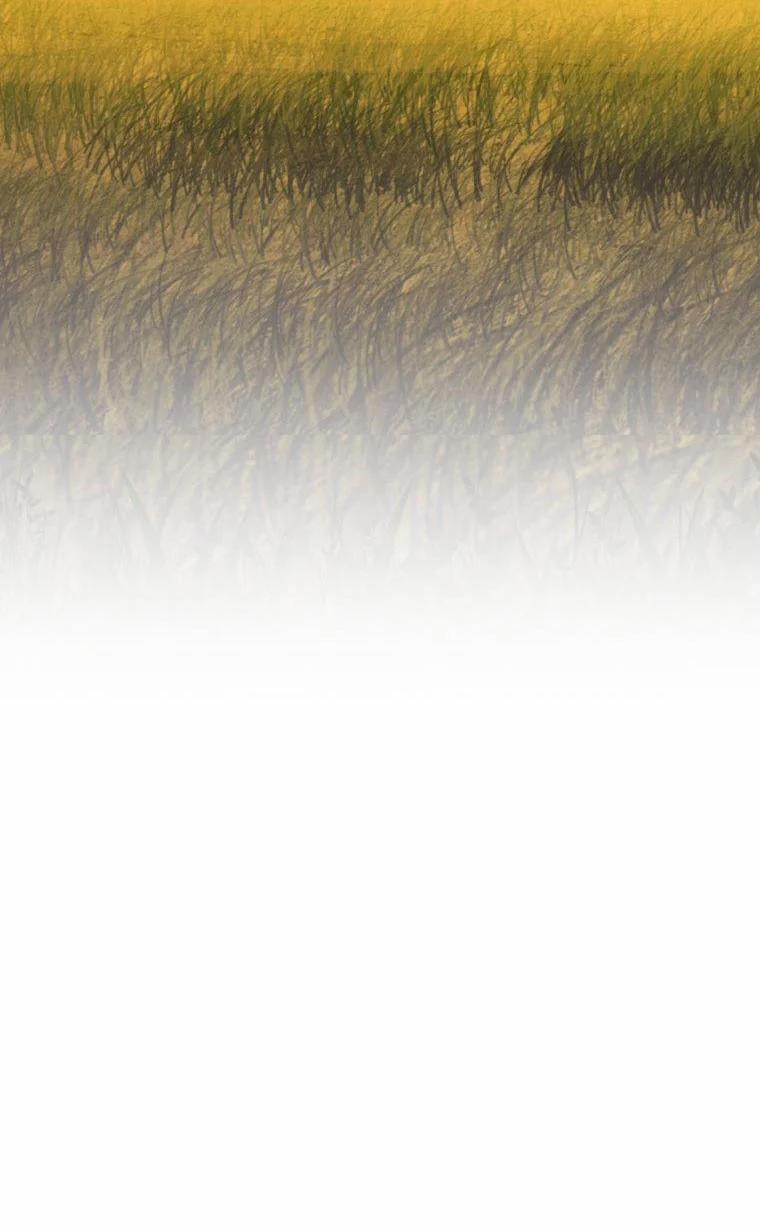 [18+] Cuộc Sống Nô Lệ Của Ban Jak 15.1 trang 12