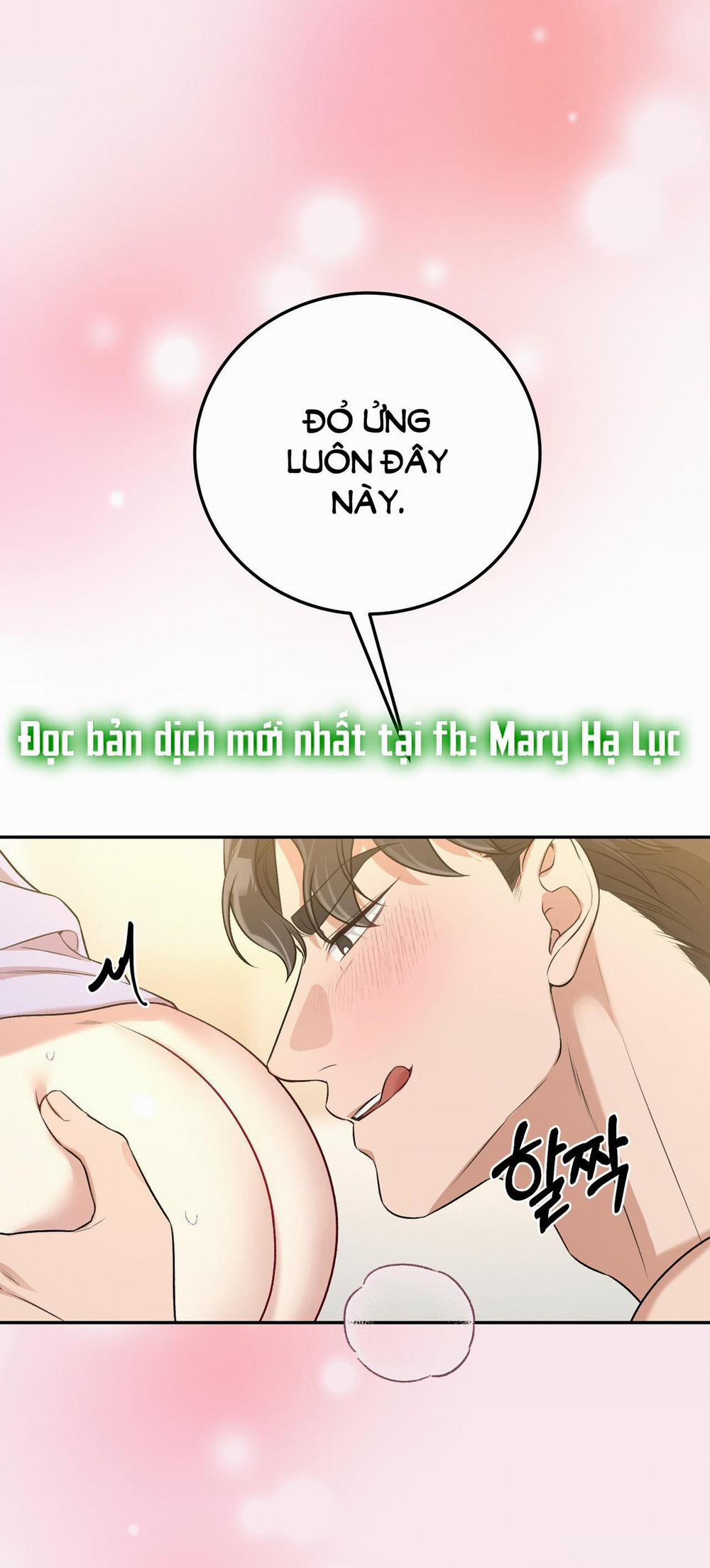 [18+] Cướp Dâu 16.2 trang 1