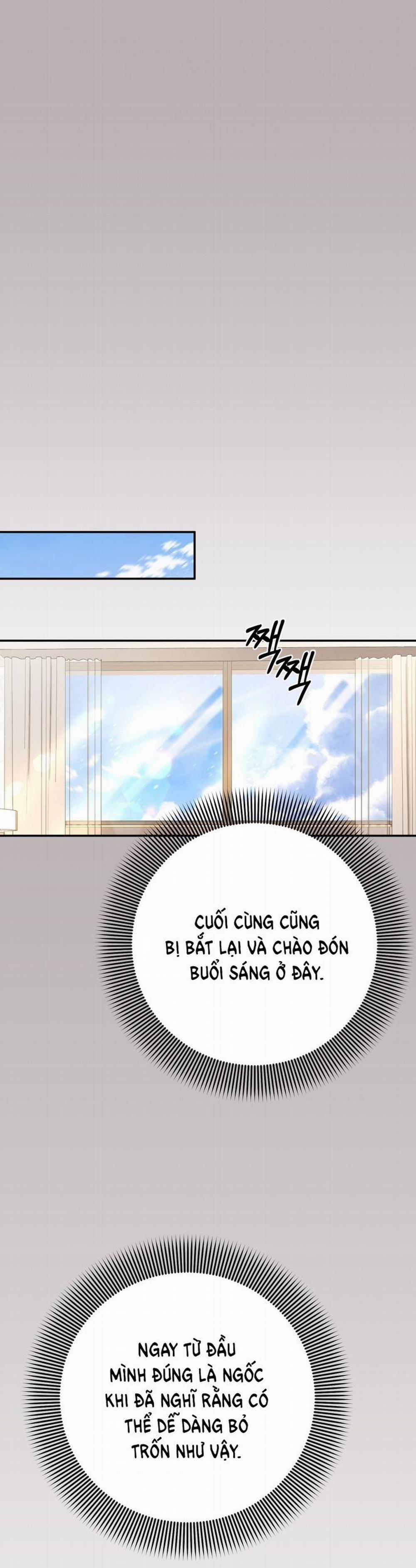 [18+] Cướp Dâu 20.1 trang 0