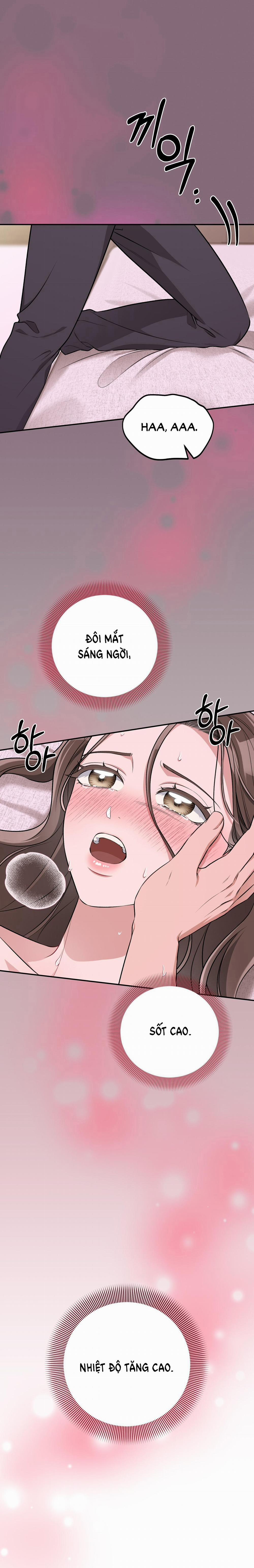 [18+] Cướp Dâu 21.1 trang 2