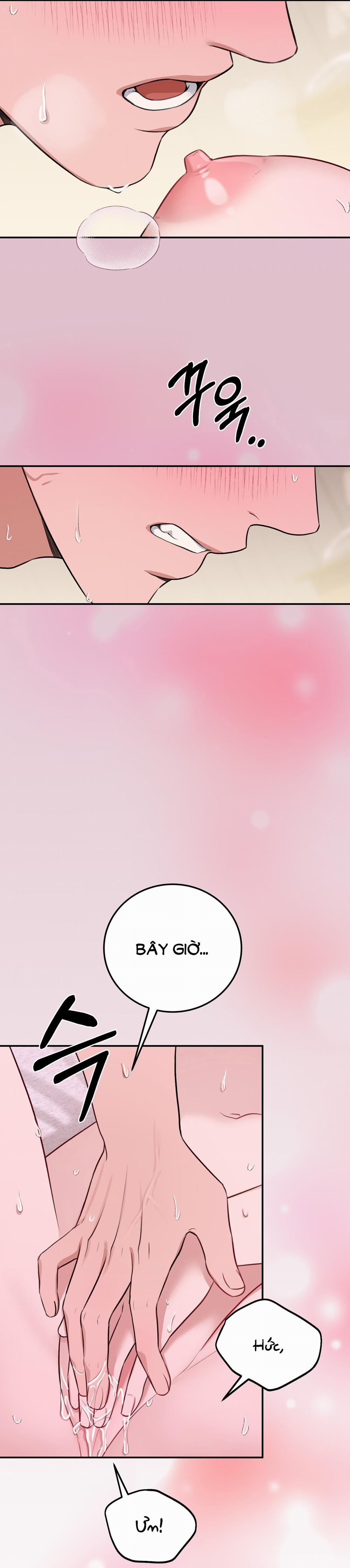 [18+] Cướp Dâu 21.1 trang 8