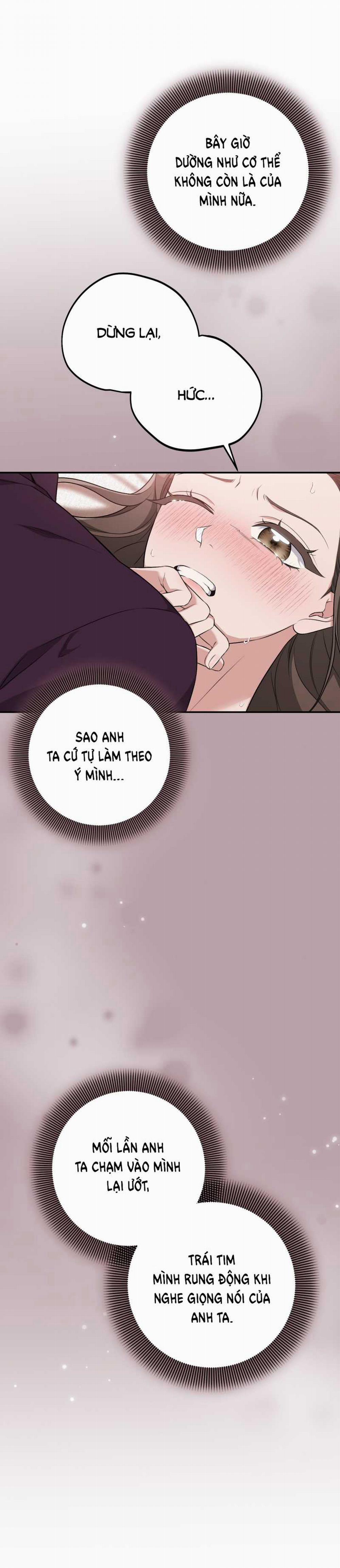 [18+] Cướp Dâu 25.2 trang 4