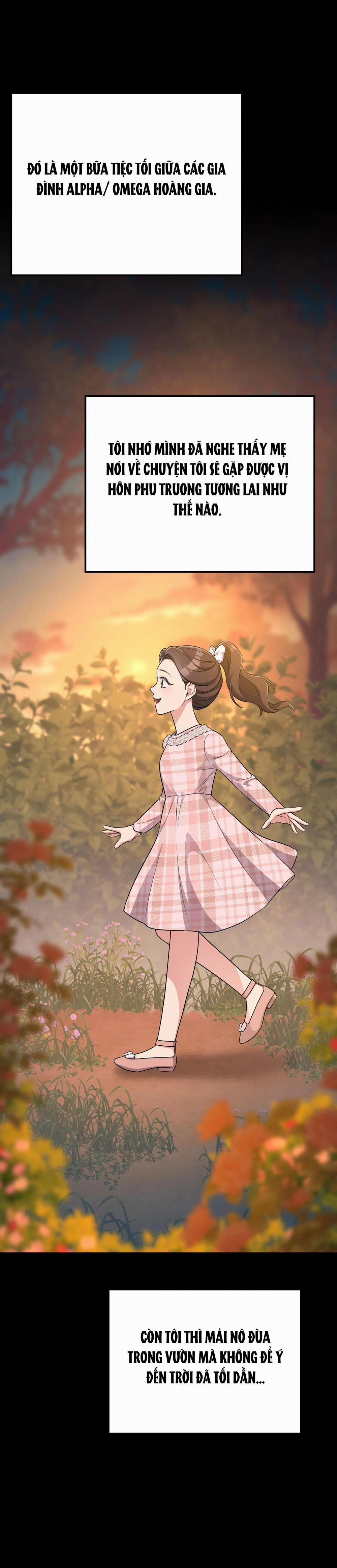 [18+] Cướp Dâu 8.1 trang 1