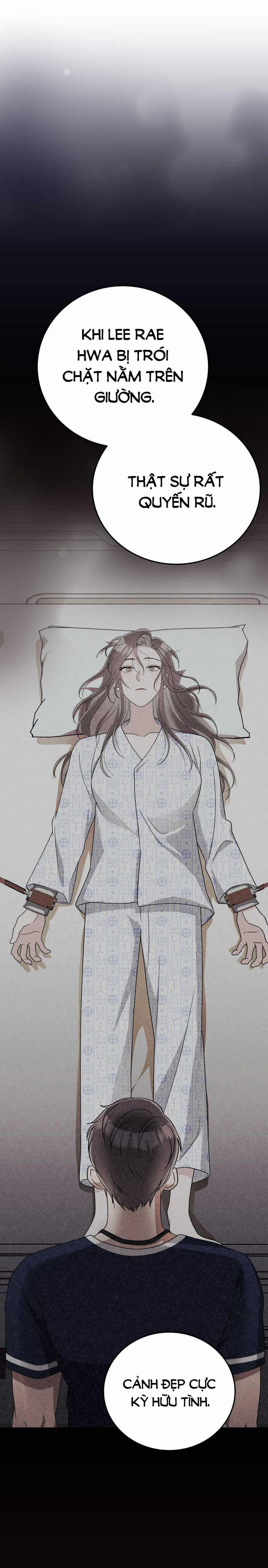 [18+] Đám Cưới Hào Nhoáng 20.2 trang 0