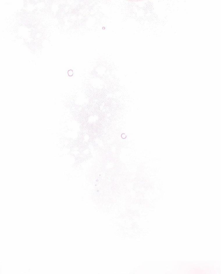 [18+] Đánh Cắp Trái Tim Tiểu Thư 85.2 trang 22