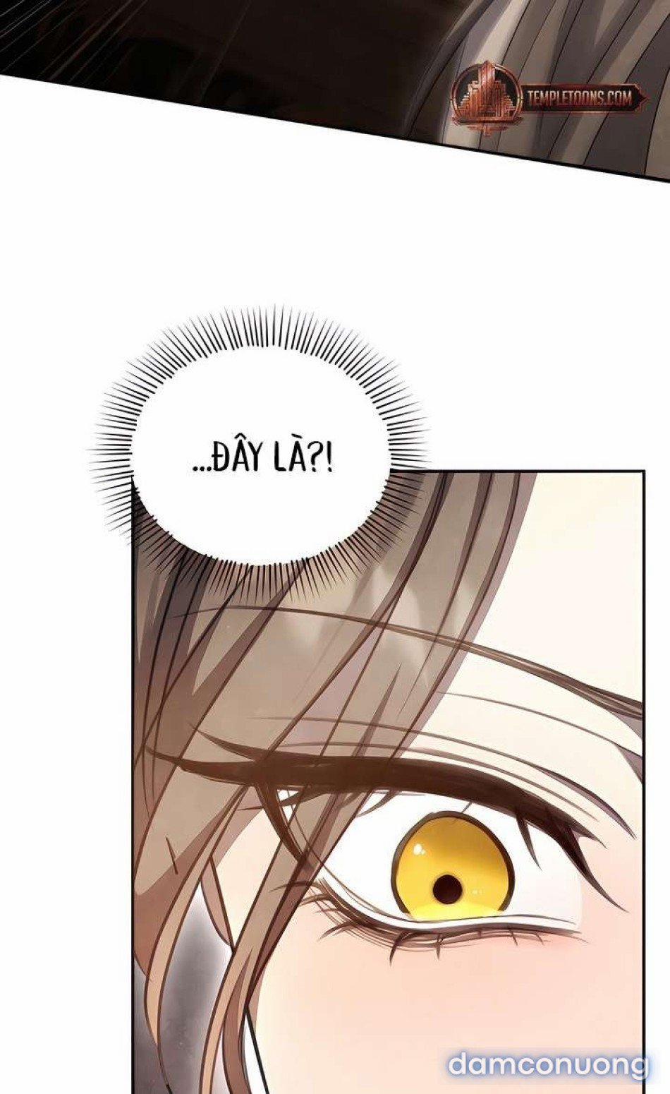 [18+] Đêm Cưỡng Đoạt 5 trang 11