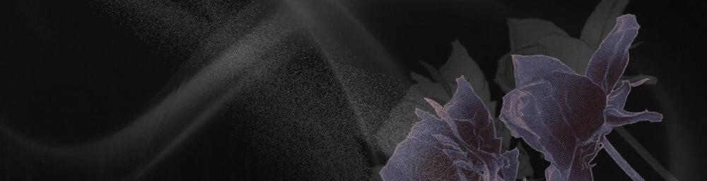 [18+] Đêm Hỗn Loạn 18.2 trang 33