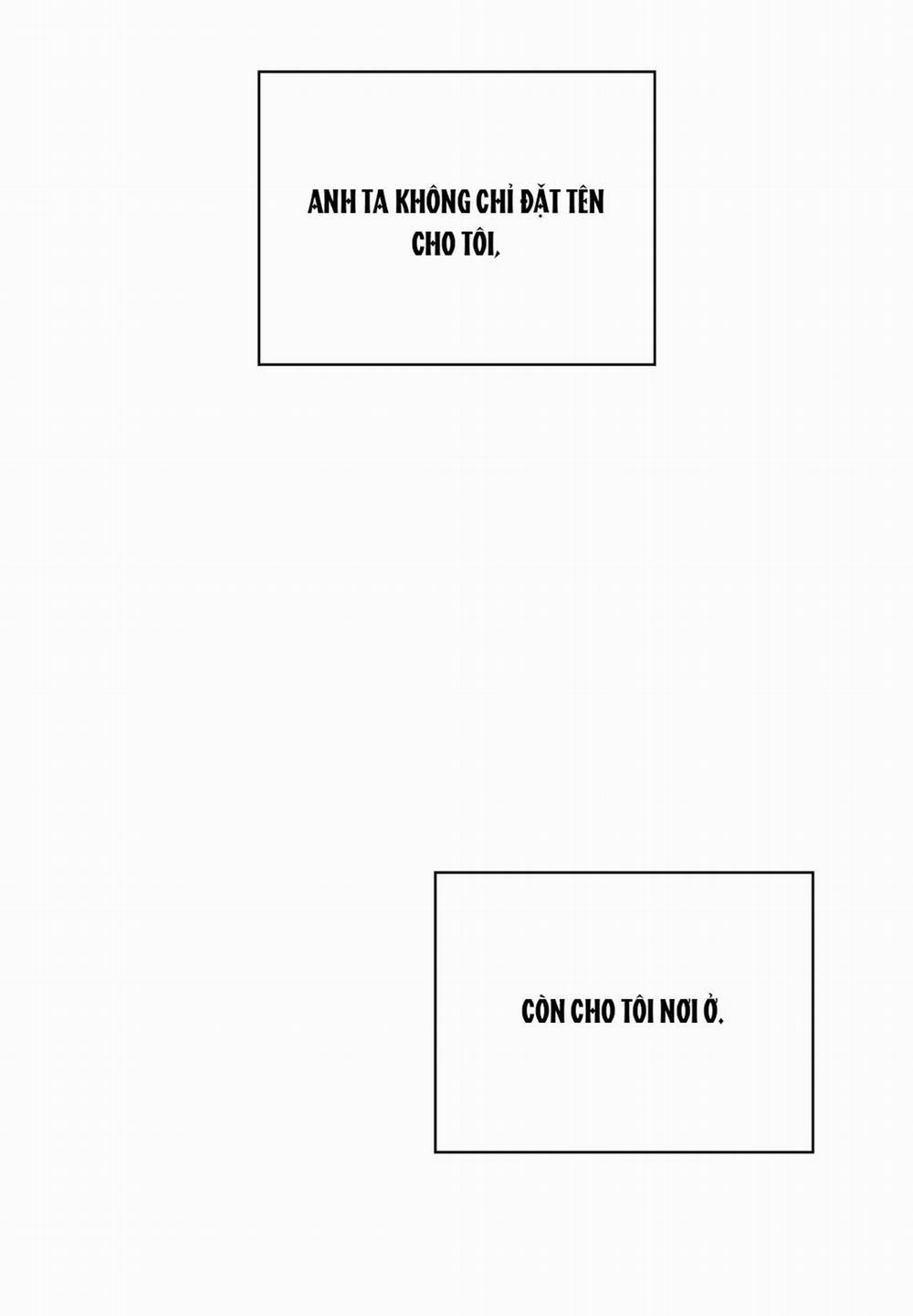 [18+] Dưới Ánh Đèn Xanh 40.2 trang 10