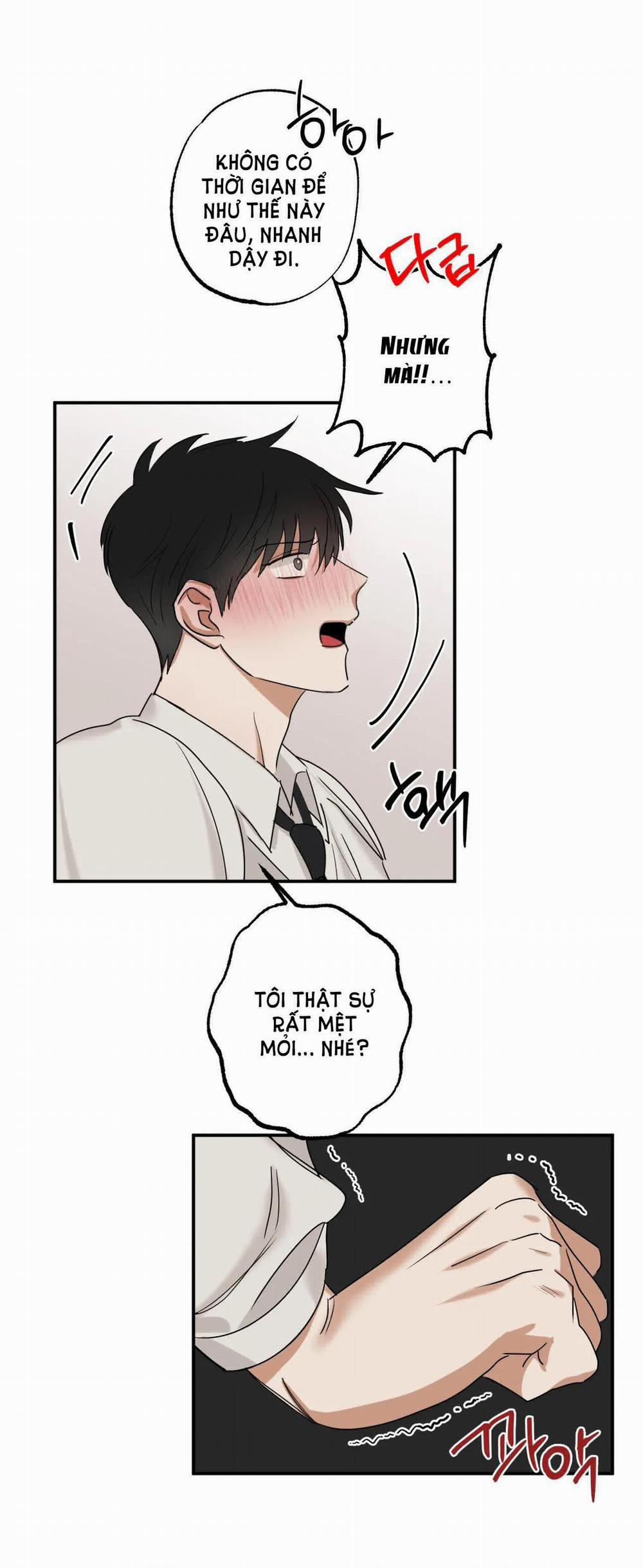 [18+] Gối Ôm Hình Người 4.1 trang 2