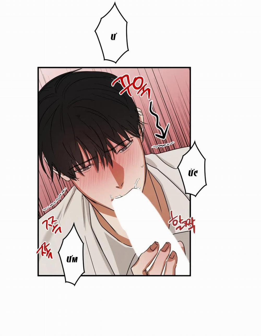 [18+] Gối Ôm Hình Người 4.1 trang 6