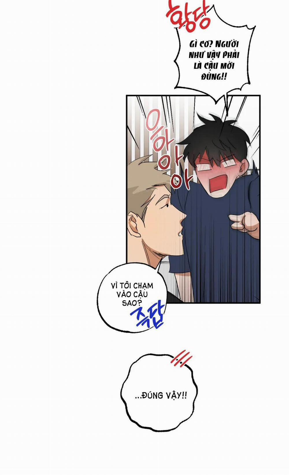 [18+] Gối Ôm Hình Người 5.2 trang 4