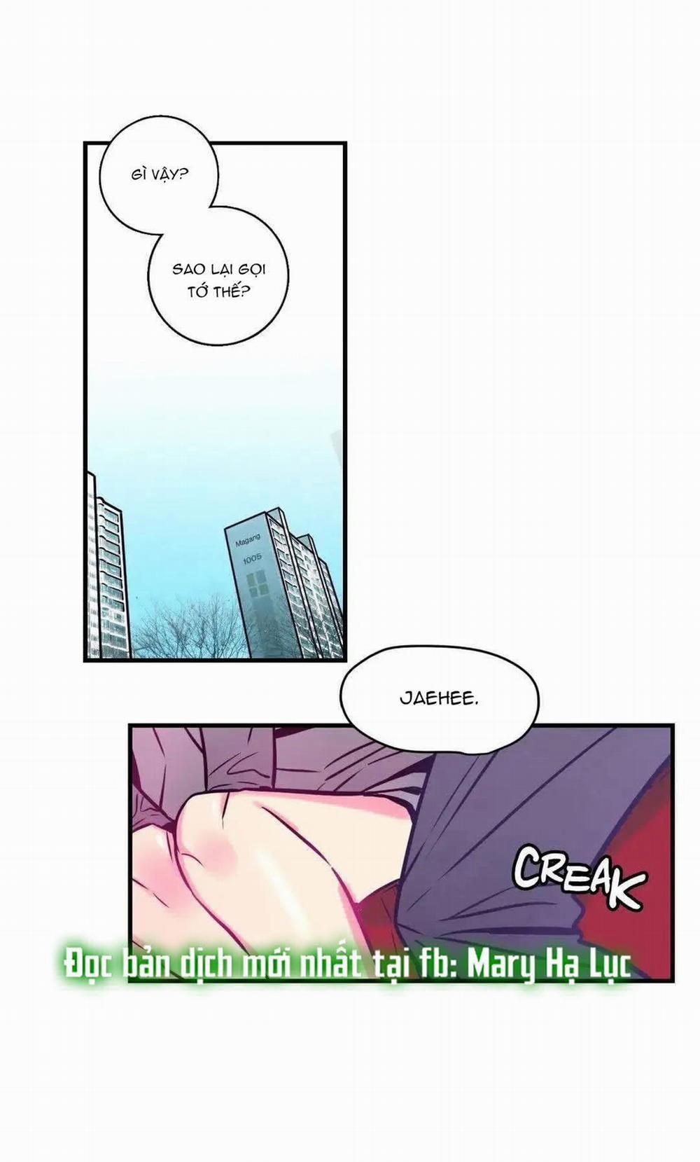 [18+] Hadomae 13 trang 0