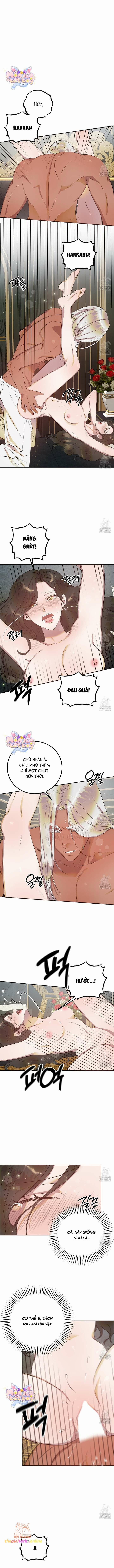 [18+] Hậu Cung Của Nữ Hoàng 7 trang 0