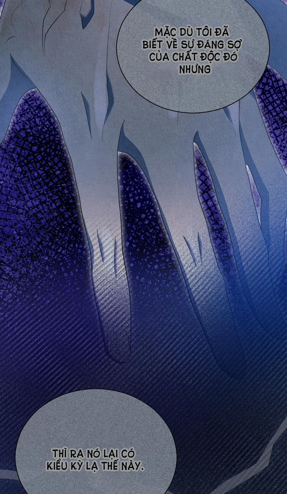 [18+] Hầu Tước Sạch Sẽ Và Quý Cô Bảo Thủ 25.1 trang 24