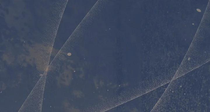 [18+] Hãy Cầu Xin Tôi Đi 48 trang 77