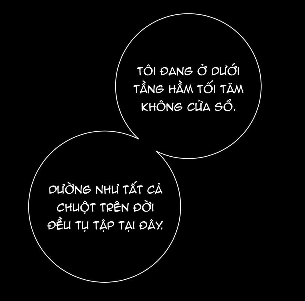 [18+] Hối Lộ Ngọt Ngào 26 trang 24