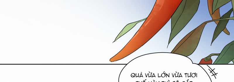 [18+] Home 8.2 trang 19