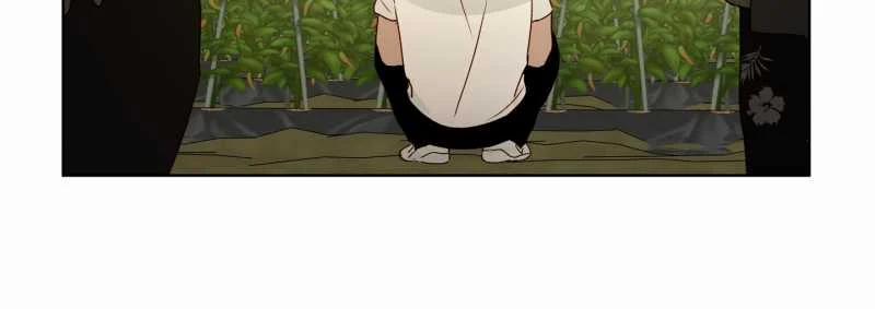 [18+] Home 8.2 trang 23